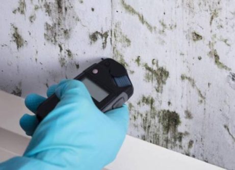 dalworth-restoration-mold-testing